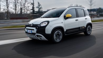 Stellantis suspend la production de la Fiat Panda